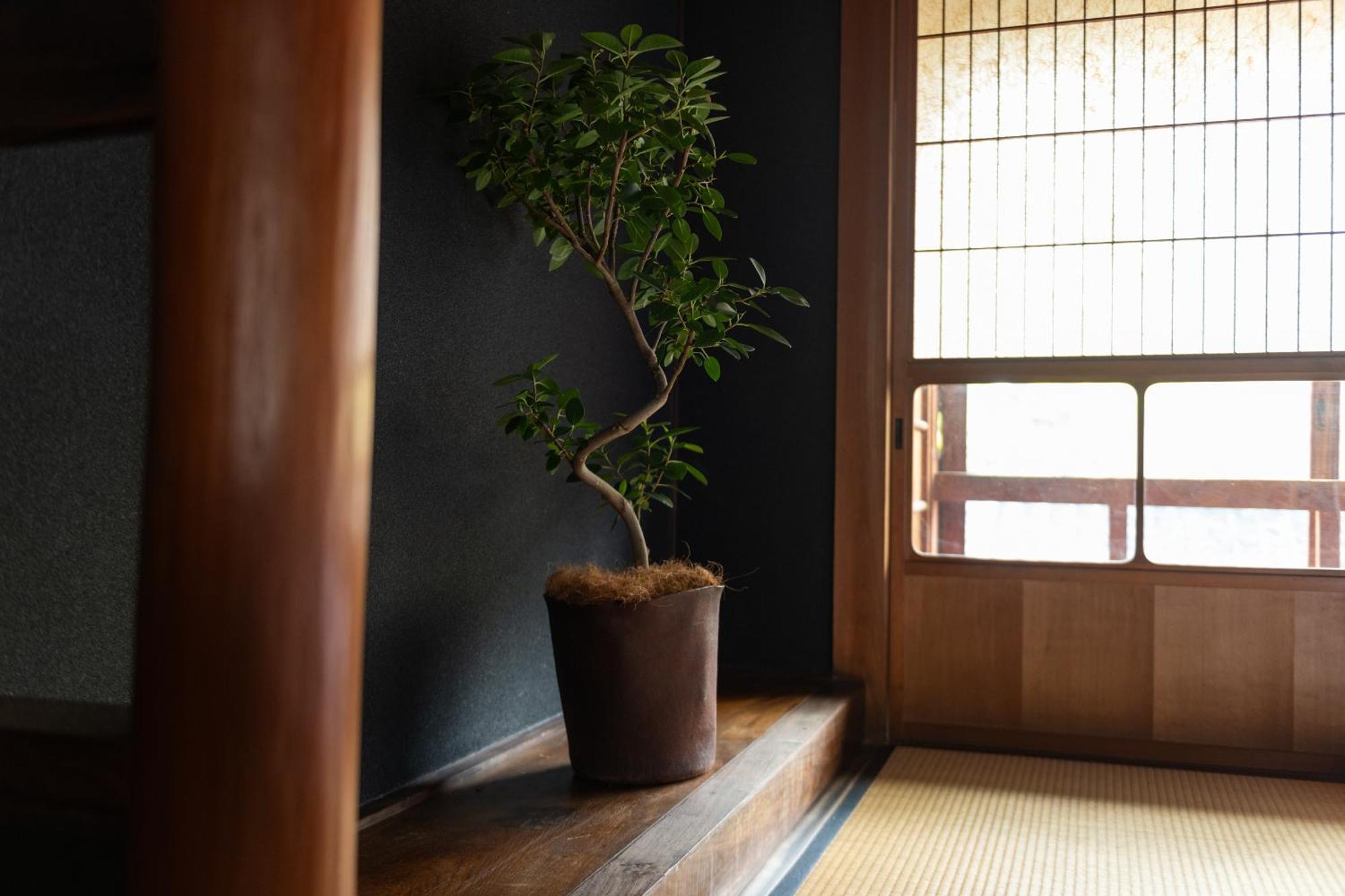 篠山城下町ゲストハウス Quolo Tamba-Sasayama Exteriör bild